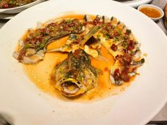 -百年银屏蚝烙·潮汕菜·非遗(乐山店)