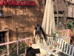 -灯塔咖啡馆BOOK·Coffee Shop