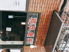 -邓氏兔头