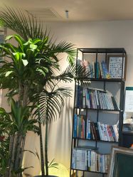 -芳香乐府疗愈空间·SPA·冥想