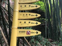 -川西竹海景区