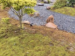 -阳澄湖半岛旅游度假区