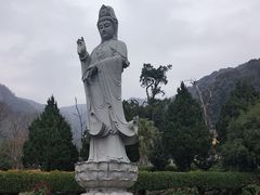 -灵光寺