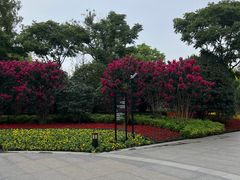 -上海市龙华烈士陵园