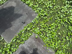 -广州从化都喜泰丽度假温泉酒店