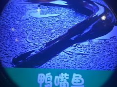 -鱼豆吉·豆浆鱼火锅(宜昌万达店)
