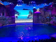 -芜湖新华联大白鲸海洋公园