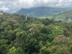 -热带雨林自然公园