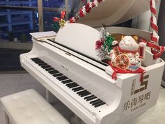 -乐尚音乐空间·钢琴·声乐·架子鼓(会展中心店)