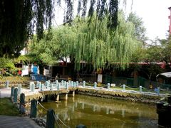 android_upload_pic-人民公社大食堂(顺义总店)