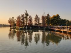 -海珠湖公园