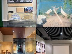 -北京全聚德(和平门店)