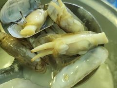 粥水锅底-蚝专家