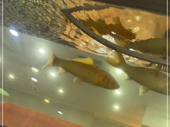 -晚归月亮湾私家菜(临邑路店)