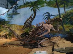 -自贡恐龙博物馆