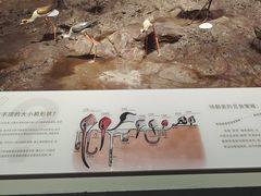 -中国湿地博物馆