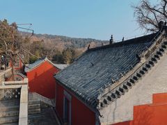 -泰山风景名胜区-普照寺