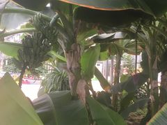 -龙达温泉生态城