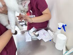 -美联众合动物医院·24h京西诊疗中心
