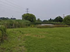 -贡湖湾湿地公园