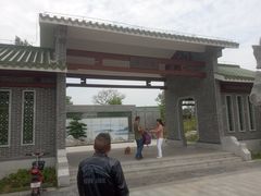 -王借岗森林公园