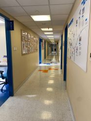 -杭州贝瑞斯美华妇儿医院·早孕·产检·儿科