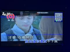 -Z+KTV自由港PLUS(仲盛店)