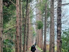 -同里国家湿地公园