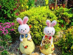 -上海共青森林公园