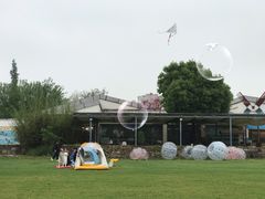 -田园东方蜜桃村的田野营地