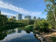 -大兴滨河森林公园