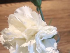 -湘邻呷铺·田园家宴(汉基广场店)