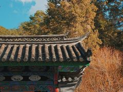 -黑龙潭公园