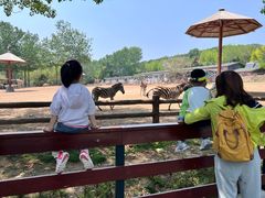 -大连森林动物园