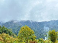 -石台牯牛降景区