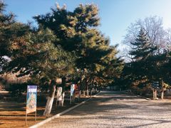 景点-沈阳中山公园