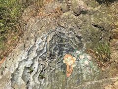-南海湾森林生态园