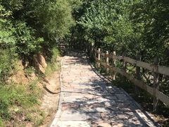 -大岭沟猕猴桃谷风景区