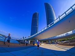 -演武大桥观景平台