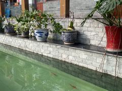 -燕北云山·农家菜·灶台鱼(密云溪翁庄店)