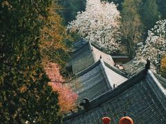 -潭柘寺景区