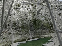 -上海鲜花港