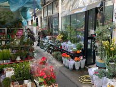 -苏州市皮市街花鸟工艺品市场