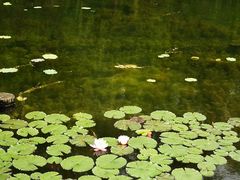 -昆山城市生态森林公园