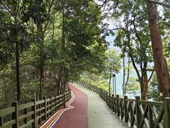 -广州市流溪河国家森林公园