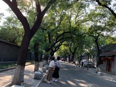 -北京国子监胡同