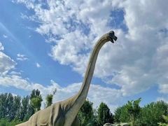 -西部长青自然儿童乐园