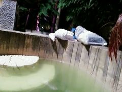 -龙达温泉生态城