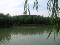 -昆山城市生态森林公园