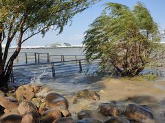 -上海吴淞炮台湾国家湿地公园